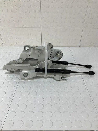 Bisagras Cofre Par Bmw F30 2013 328ia