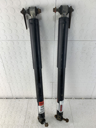 Par Amotiguadores Traseros Dodge Durango 2004-2009