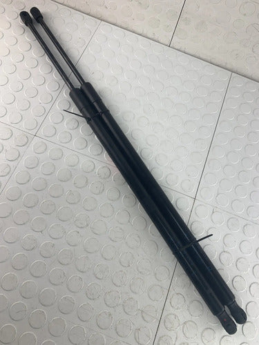 Amortiguadores Cajuela Dodge Durango Wd 2014-2020 Oem
